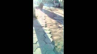 Video election in Veliko Tarnovo!