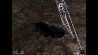 Morrowind 12 Сапоги ослепляющей скорости как получить две пары по честному