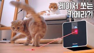 Laser pointer pet camera "PETCUBE"  Unboxing & Review [SURI&NOEL]