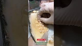 Pearl Farming: Earn In Lacs | How to do pearl farming | Moti farming