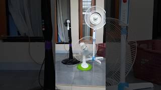 Three fans fighting #fan #shorts #kipasangin