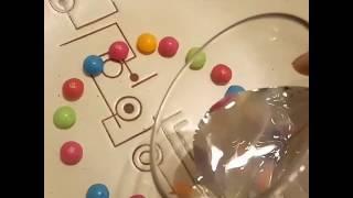 Радуга из Skittles Веселый опыт Красота в тарелке сладкое с пользой