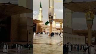 dono aalam ke sarkar aa jaiye #shorts #daureaakhir #viralvideo