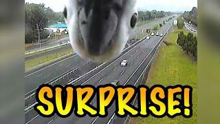 SURPRISE! || Unexpected || LPE360 Compilations