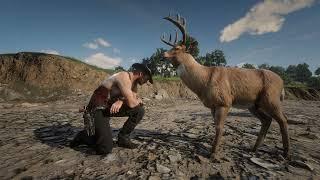 Red Dead Redemption 2 Wounded Arthur and the Deer, Spirit Animal