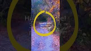Портал в осеннем лесу!