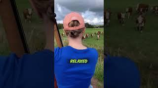 Why Cows Love Music