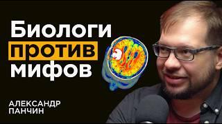 БИОЛОГ Александр Панчин: Заблуждения о мозге и жизни вцелом