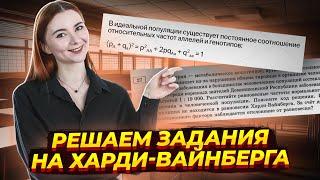 Решение задач 27 Харди-Вайнберг