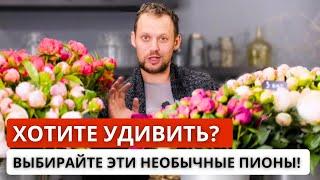 КАКИЕ ПИОНЫ ВЫБРАТЬ? Разбор сортов пионов: стойкость, аромат, цвет, пионы хамелеоны.