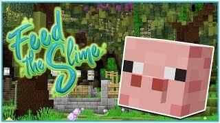 Slime Rancher Kalandpálya! - Minecraft Feed the Slime