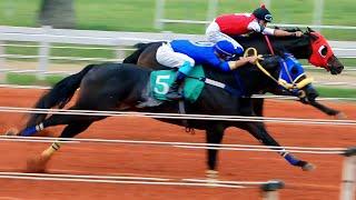 Especial: Todas as corridas do dia 21/09/2024 no Jockey Club de Sorocaba