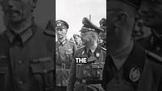 The Night Of The Long Knives