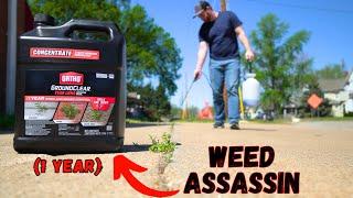 #1 WEED KILLER Ever Made! Ortho GroundClear: Better Than Round-up!