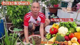 Tuyệt Vời Cách Trồng Rau Sân Thượng Quá Dễ,Ăn Cả Năm Không Hết,Anh Búp Tiết Lộ Bí Quyết