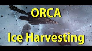 ORCA Ice Mining Part II - EVE Online