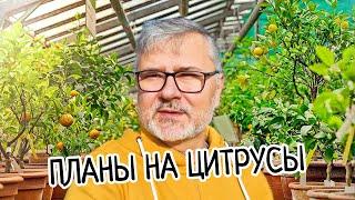 Начинаю БОЛЬШОЙ проект! Буду строить гигантскую теплицу для цитрусов 2800 кв.м! Лимонарий. Начало.