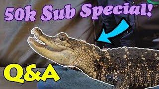 All About my Alligator! (50k Sub Special)