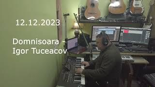 Domnisoara- Igor Tuceacov