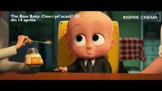 The Boss Baby 2D si 3D / Cine-i sef acasa?