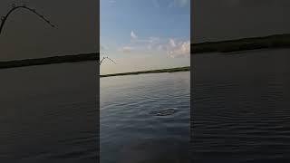 Fishing beats Fortnite! #fishing #fun #outdoors #redfish #fortnite #videogames #fish #texas #kayak