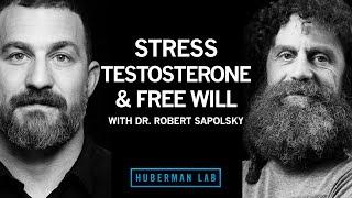 Dr. Robert Sapolsky: Science of Stress, Testosterone & Free Will