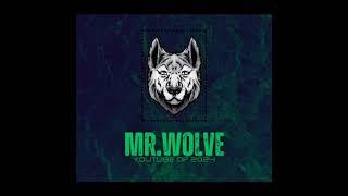 Mr.wolf