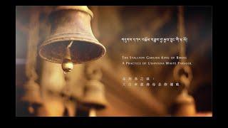 噶瑪巴唱誦 D8 大白傘蓋佛母念修儀軌 A Practice of Ushnisha White Parasol, Chanted by Karmapa