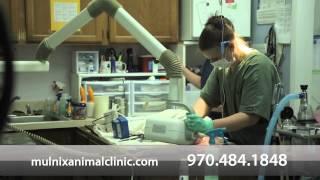 Welcome to Mulnix Animal Clinic