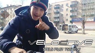 VeloDrive/Велосипед Stels Pilot 750/2017