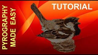 Wood Burning - House Sparrow - bird art pyrography tutorial