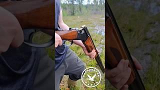 Легендарное Ружье МР 27ЕМ Baikal 12 калибра #охота #hunt #huntingrussia #hunting #оружие #shotgun