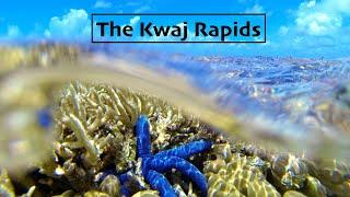 Snorkel Review - Kwajalein, Marshall Islands - Over the Reef (Kwaj Rapids)