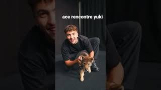 ace rencontre yuki a webedia