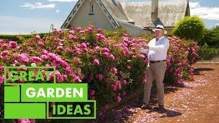 The ULTIMATE Rose Garden | GARDEN | Great Home Ideas