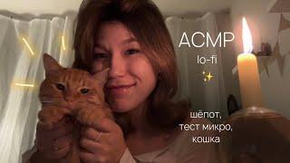 асмр lo-fi  тест микро, шепот, мурчание кошки и триггеры • asmr relax whispering