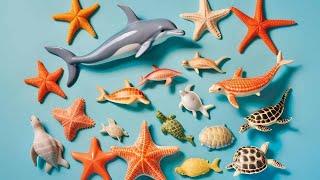 Fish Bliss: Shark, Puffer, Starfish, Clown, Tang, Eel, Goldfish, Seahorse, Dolphin, Turtle, Stingray