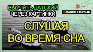 Выучить датский через картинки |датский словарь Слушая во время сна | Golearn