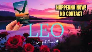 LEO ️ CONTACT? THOUGHTS, FEELINGS, ACTIONS INTENTIONS #leo #tarot #soulmate #love #leotarot