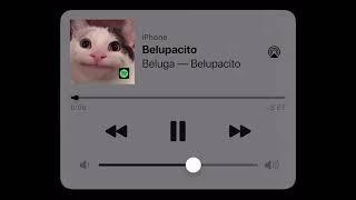 Beluga - Belupacito [ 1 Hour ]