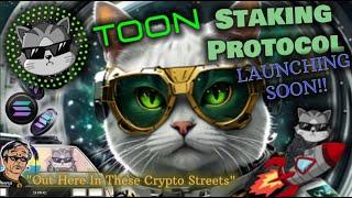 The Toon Club Ecosystem On Solana | $Toon Token & ROI Staking Pool Launch Soon!! (Postponed)