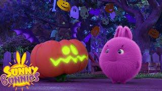 Spooky Pumpkin  Happy Halloween | SUNNY BUNNIES | Funny Cartoons For Children