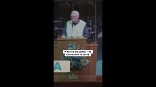 Discover the Divine: The Lamb of God Revealed!