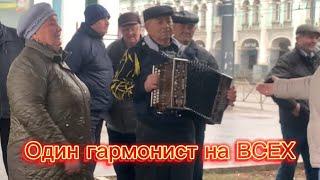 Играй гармонь! Один гармонист на всех!