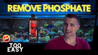 Brightwell Phosphate-E to Remove Phosphates in a Reef Tank!