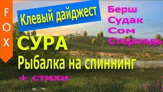 Сура, рыбалка на спиннинг. Русская Рыбалка 4