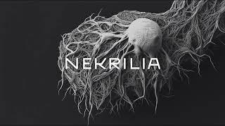 3. Nekrilia