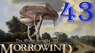 [43] TES III Morrowind  [Fullrest Repack v.1,4] Почти "Мастер Дела"