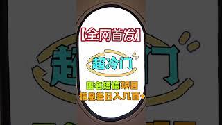 【全网首发】超冷门赚钱项目:匿名短信项目，信息差日入几百+ #赚钱 #教程 #网赚 #賺錢 #vip #创业 #兼职 #副业推荐 #宝妈 #創業