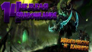 Полутай Клинки Аззинота | 14 неделя Shadowlands 9.0.2 | 24 февраля - 2 марта | World of Warcraft